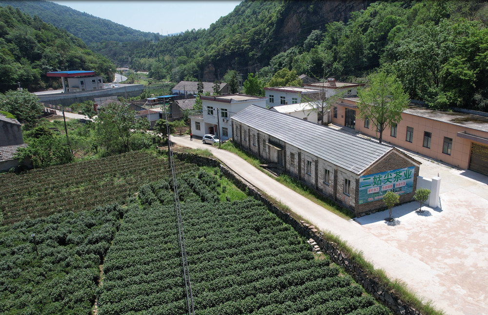 /uploads/image/2023/05/11/69f3434c17c536e8d5377e68b3c942cb.jpg 启根家庭农场3.jpg