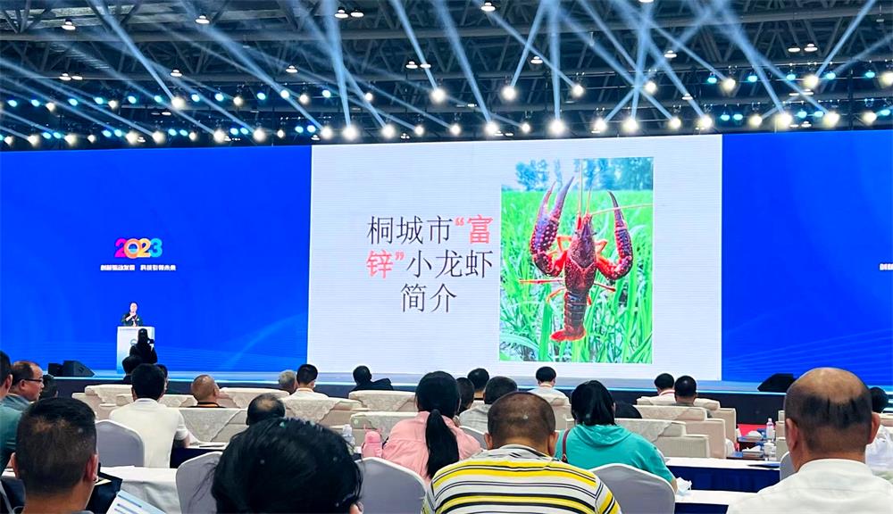 /uploads/image/2023/05/17/852bdedc582e0544236fb0b18b4b2591.jpg 1.jpg