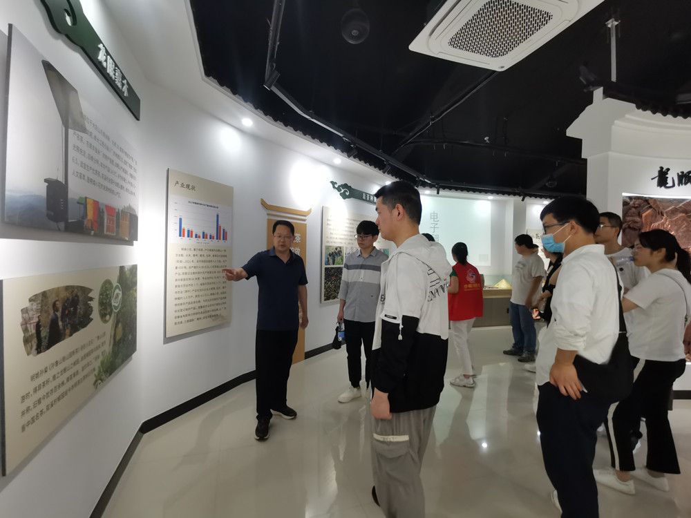 图为在桐城小花茶文化馆参观时的情景.jpg