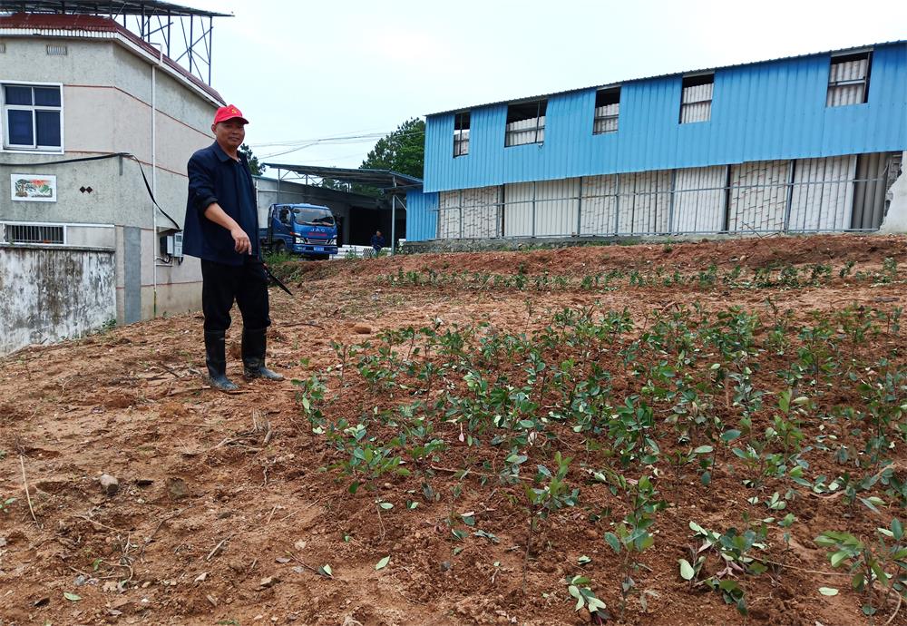 /uploads/image/2023/05/25/d833099119c823154b6af8fb4f1a4bcd.jpg 3.jpg