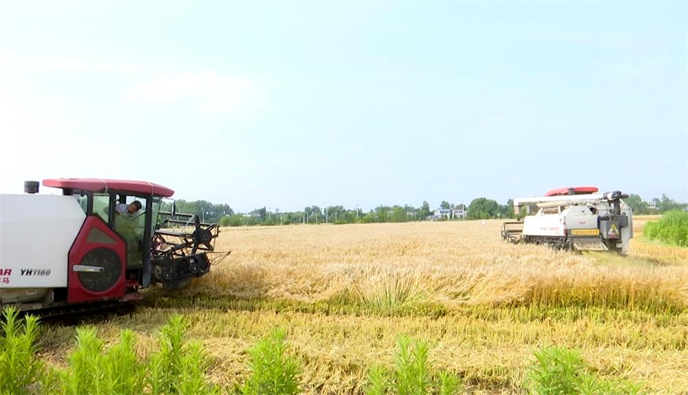 /uploads/image/2023/05/26/4caeb0eb65ab7fe8dc2aa0098d575e10.jpg 50.jpg