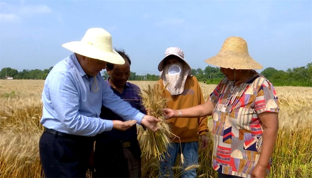 /uploads/image/2023/05/26/4b8868b0cd198e16d6f1f431139f5ca5.jpg 51.jpg