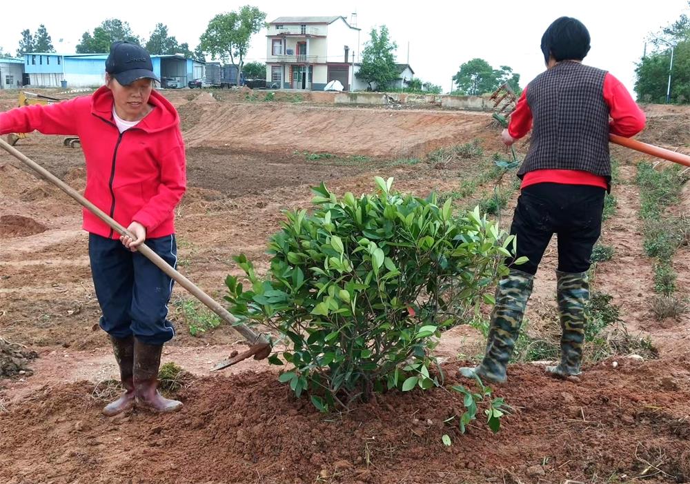 /uploads/image/2023/05/30/e189d98a9211d99d9c4700f3f1f4a61e.jpg 3.jpg