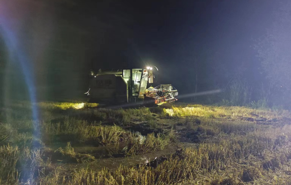 /uploads/image/2023/06/01/561d5a3224770ebab3a7a2722e31e0c3.png 1.png