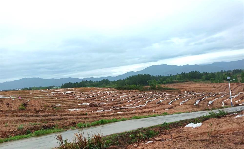 /uploads/image/2023/06/14/04a36c1a5c8f402222c1ace04784944a.jpg 30.jpg