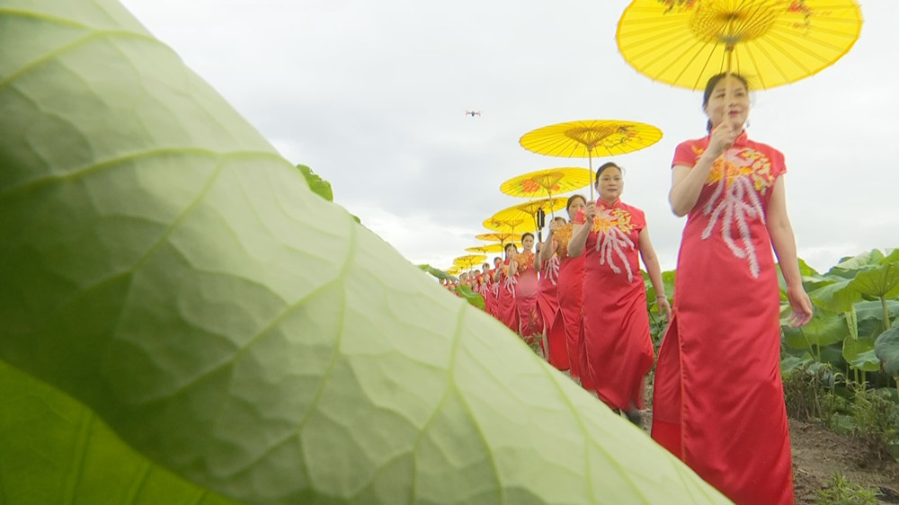 /uploads/image/2023/06/26/7a5d335e52977a1db620e2fdaa60dbfb.jpg 荷花 (1).jpg