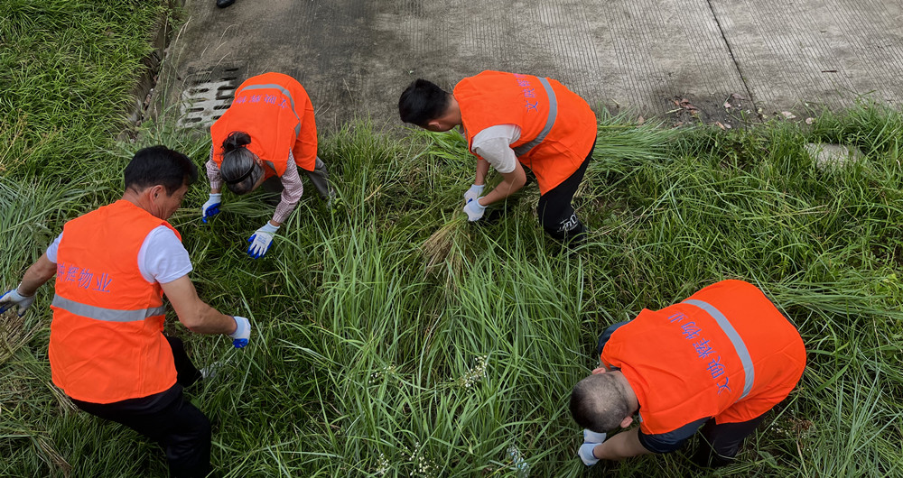 /uploads/image/2023/07/03/d6a99c8c1c76f5156e69cc566bbdc002.jpg 图片1.jpg