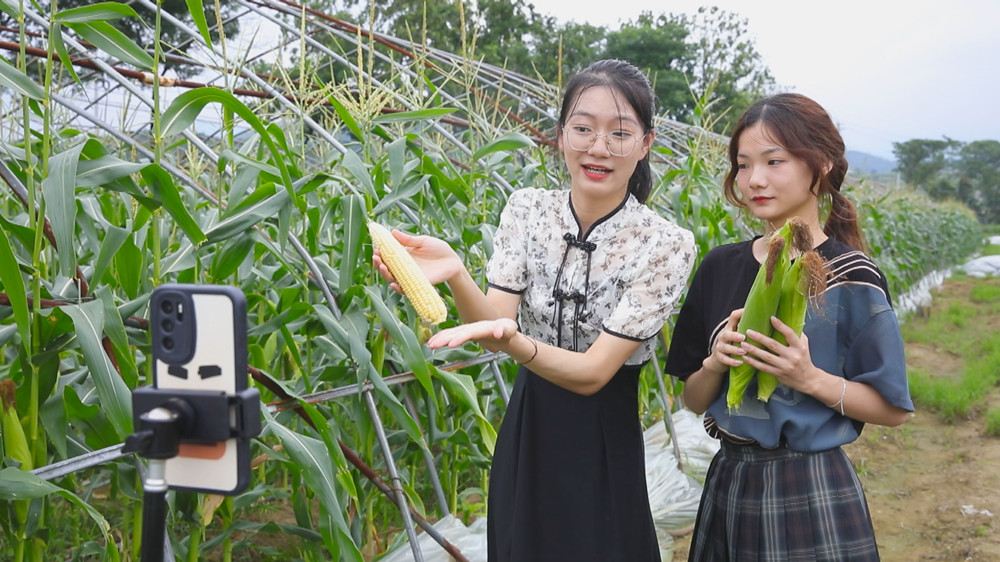 图为圣芯正和同学在玉米种植基地里帮助种植户直播带货1.jpg