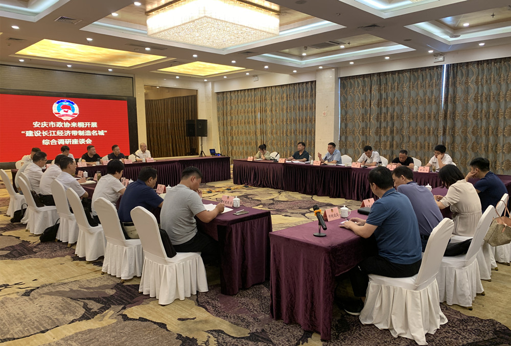 安庆市政协来桐开展“建设长江经济带制造名城”专题调研7.jpg