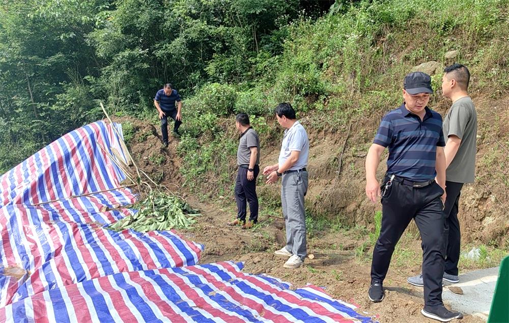 /uploads/image/2023/07/11/540d1e464e1a51e3e992690603a6f691.jpg 3.jpg