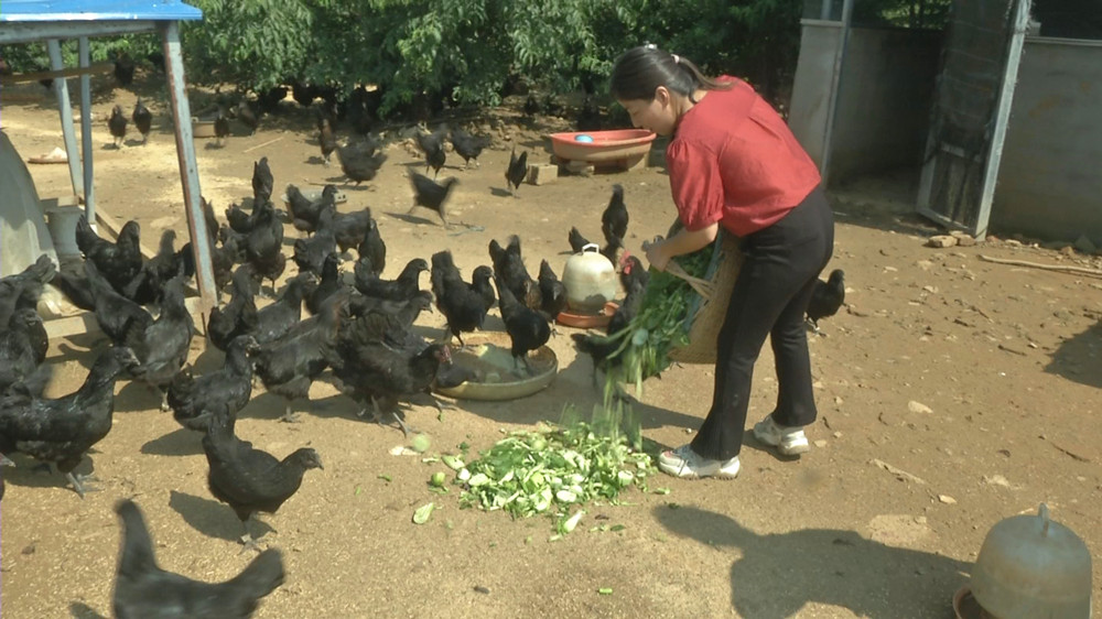 /uploads/image/2023/07/13/c25cb28b45dd797d743a2bc105b59ebe.jpg 微信图片_20230713160525.jpg