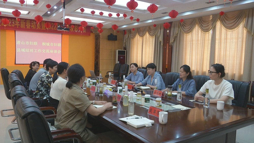 图为潜山妇联来桐 座谈会2.jpg