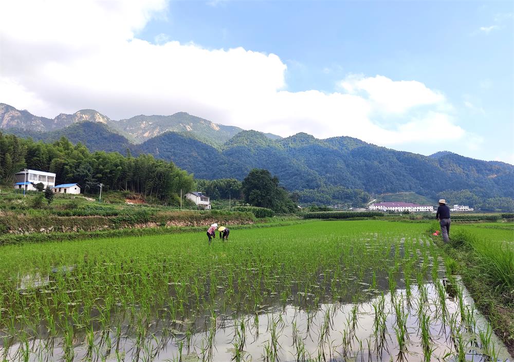 /uploads/image/2023/07/18/6be6e23c6729e06a582b073f34ad3169.jpg 2.jpg