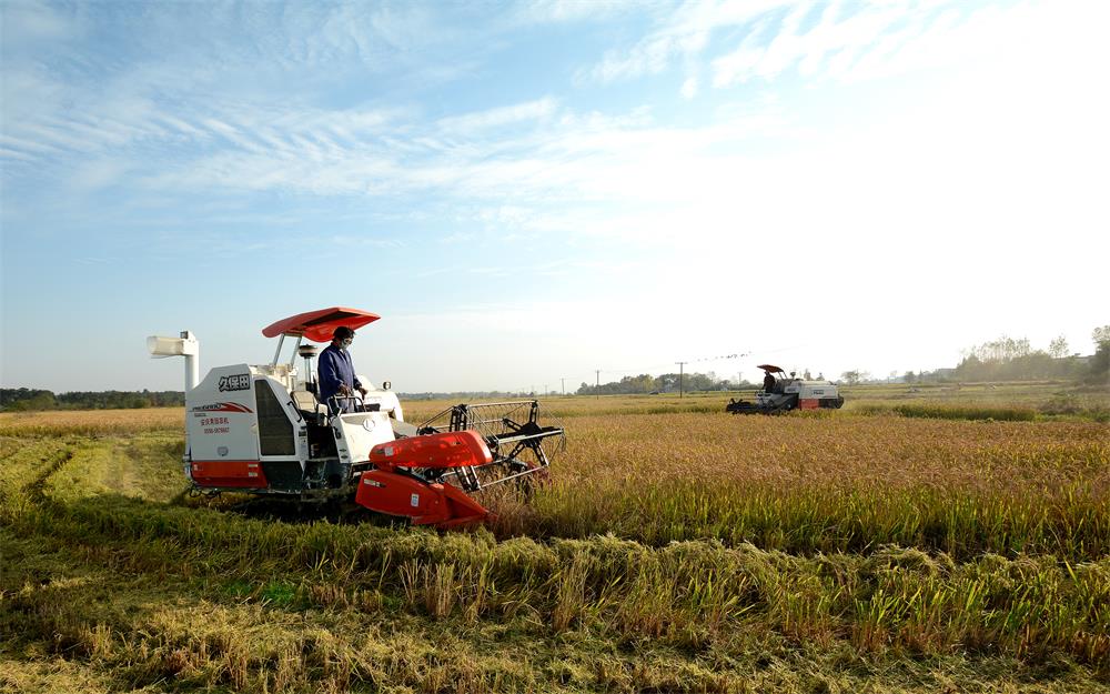 /uploads/image/2023/07/19/9f2d83842dd6f00228eec25fe3f86430.jpg 11.jpg