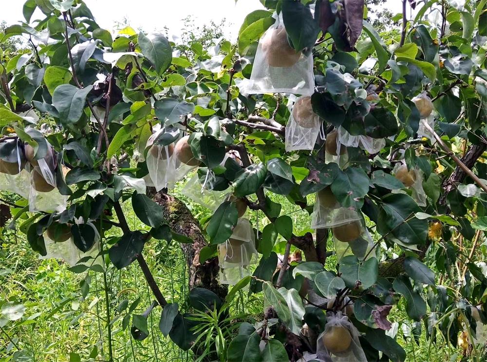 /uploads/image/2023/08/04/331b74061282561ed661b50bd7645c82.jpg 22 (1).jpg