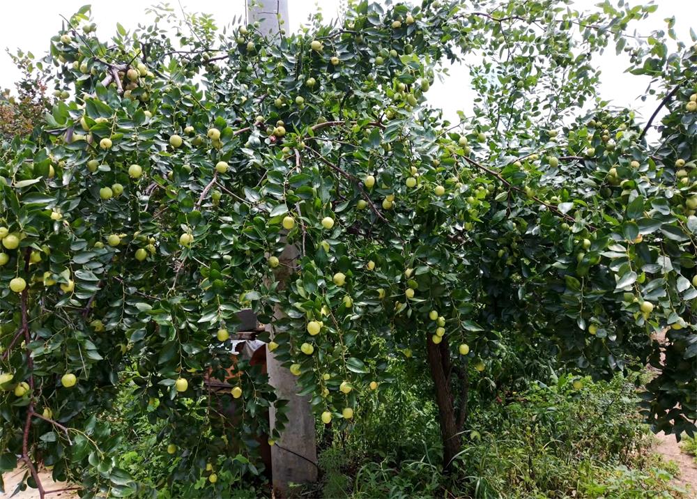 /uploads/image/2023/08/04/dd18052a69c006e6c67bfded37e97828.jpg 22 (2).jpg