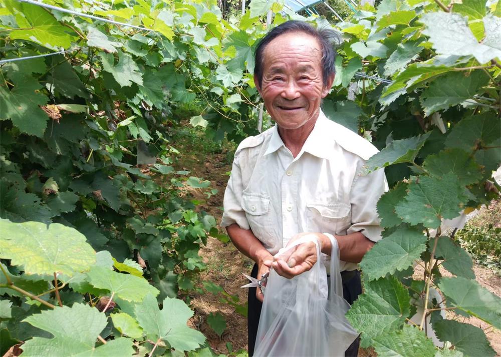 /uploads/image/2023/08/04/3da8775cf6261e53ced6a2359dbef60b.jpg 20.jpg