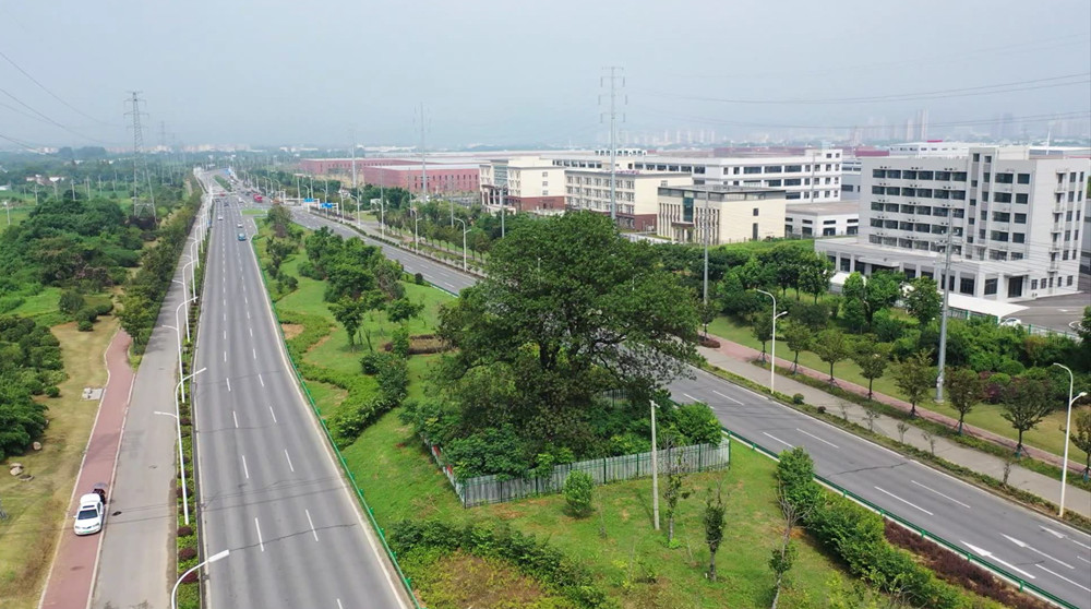 /uploads/image/2023/08/09/5400bddc065e47e0f4643a26d7280f93.jpg 1691558877957.jpg