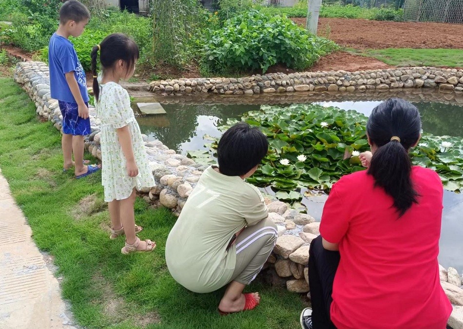 /uploads/image/2023/08/15/f8349532a530adca9686485681754de3.jpg proxy.jpg