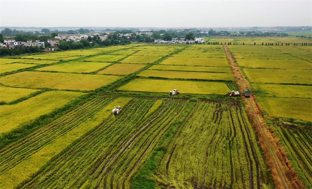 /uploads/image/2023/08/26/76e65a50e1383fe0bf4d395272594da7.jpg 22.jpg