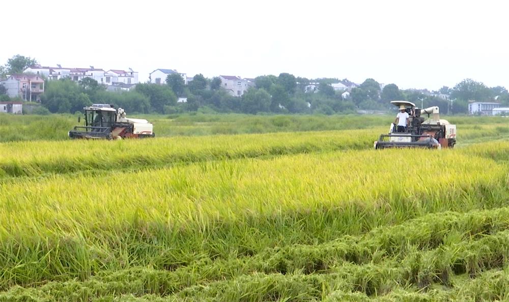 /uploads/image/2023/08/26/8987f1d929362d966c9c1b450c150f4a.jpg 20.jpg