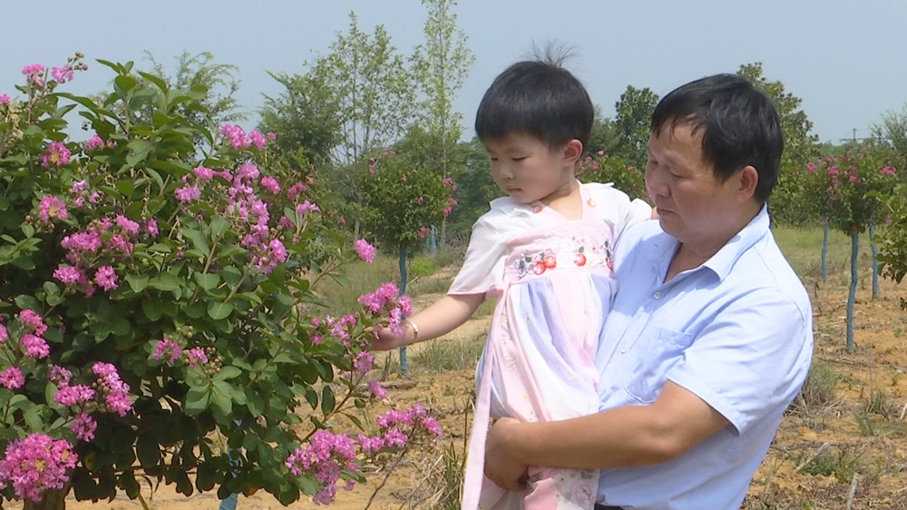 /uploads/image/2023/08/28/d5217f3b1595b898f4c3b39d4179ddc0.jpg 紫薇 (2).jpg