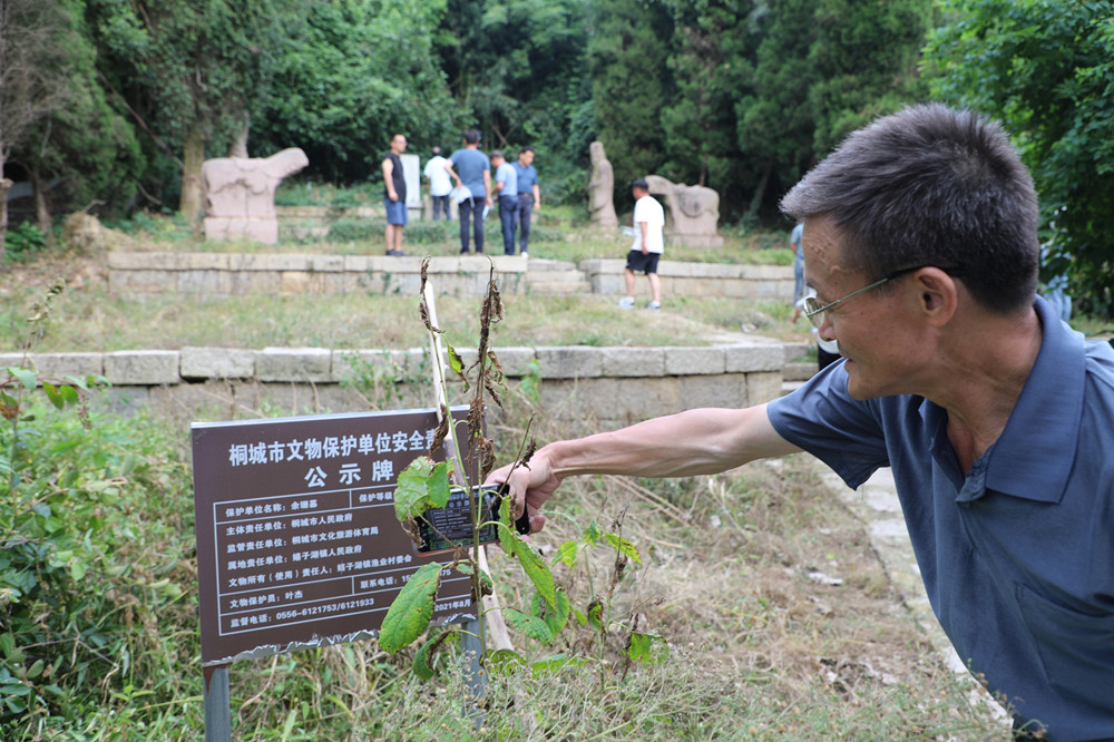 参观省级文保单位余珊墓.JPG