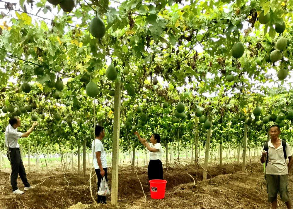 /uploads/image/2023/09/07/b3d97f504cffadb43b937dc4f902881c.jpg 3.jpg