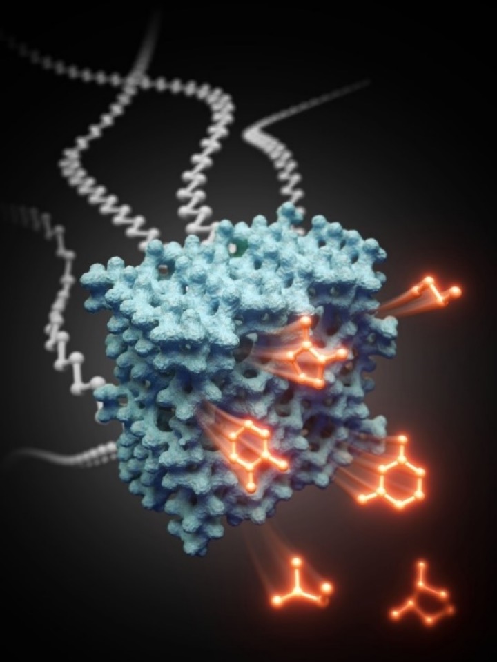 /uploads/image/2023/09/12/1838d62b660c15256810b1b7713f19fe.jpg 1.jpg