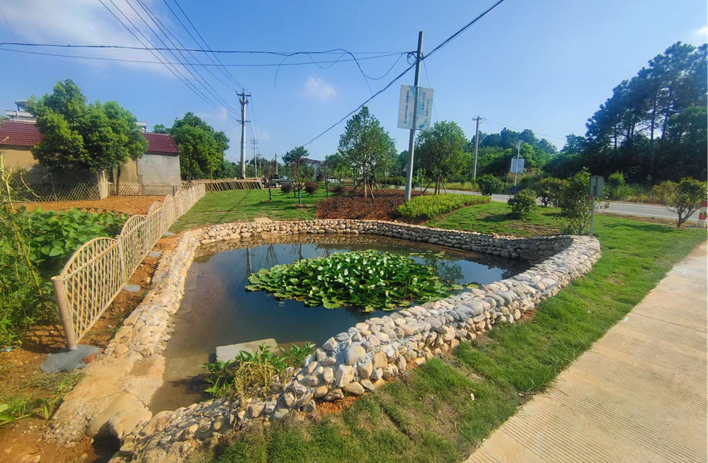 /uploads/image/2023/09/12/7e1ae939818416182dd2f361eec7f11f.jpg 桐城市嬉子湖镇松桂村:“书记项目”夯基赋能“ 和美乡村党群共建.jpg