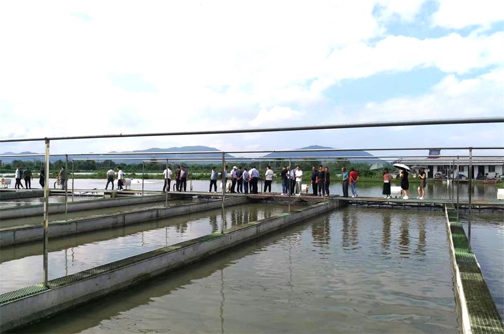 /uploads/image/2023/09/19/b73a5201edf8e5a23c55c7c8180156cf.jpg 0.jpg