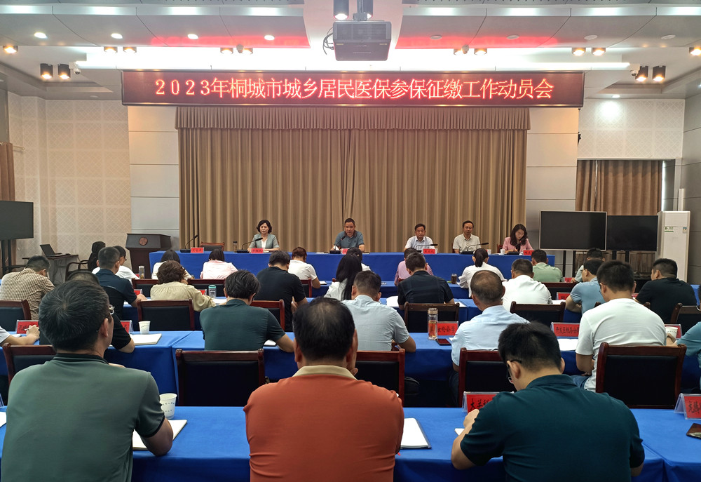 2023年桐城市城乡居民医保参保缴费工作动员会.jpg