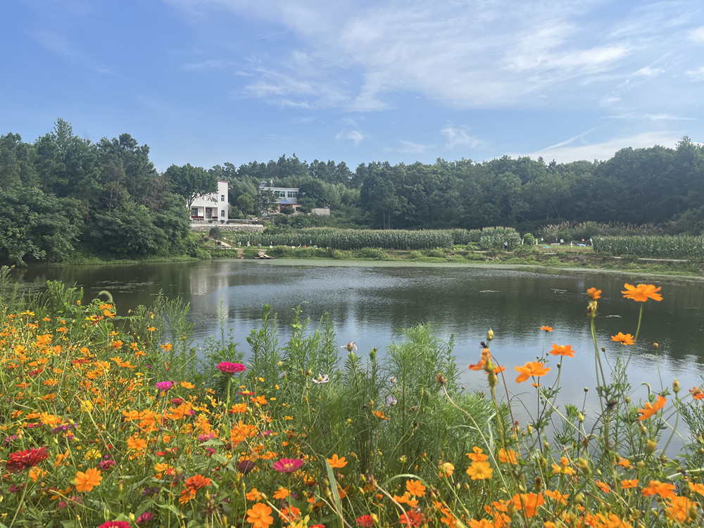 /uploads/image/2023/09/26/af393bcbf11e4ee5f31689b849064ab0.jpg 聚力人居环境整治 打造幸福美丽大关1.jpg