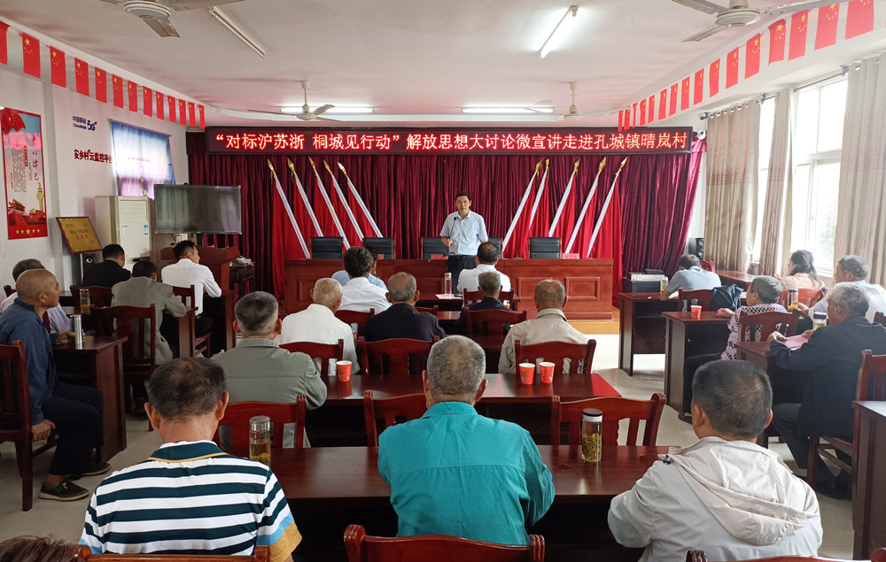 “对标沪苏浙 桐城见行动”解放思想大讨论微宣讲走进孔城镇晴岚村.jpg
