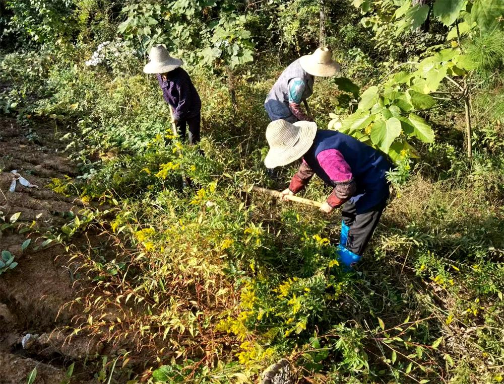 /uploads/image/2023/10/20/2be7b959450f8853d5ee478d04318018.jpg 1.jpg