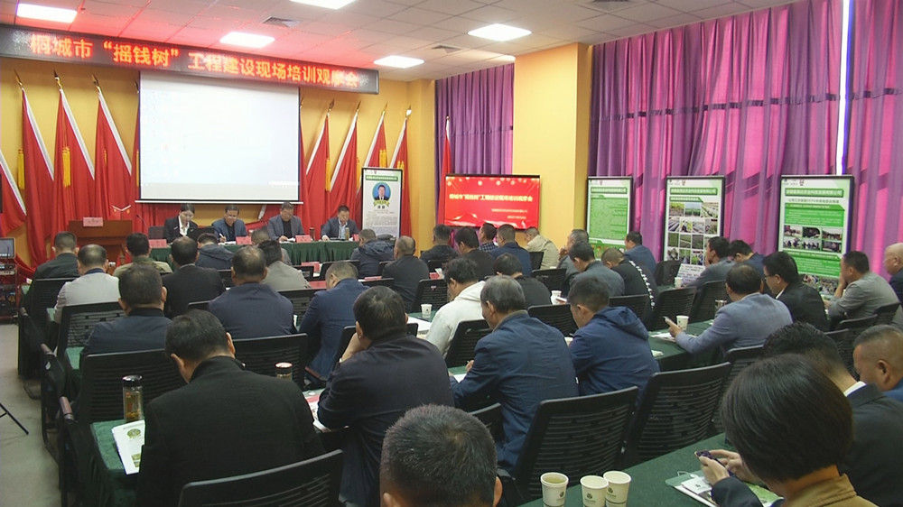 /uploads/image/2023/10/23/107b3b3a96e30c8639fb80e4dda1ad9c.jpg 全市“摇钱树”工程建设现场观摩会召开3.jpg