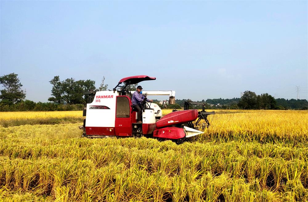 /uploads/image/2023/10/24/72540b5c21731c2ba54249b5eec4ec35.jpg 2.jpg