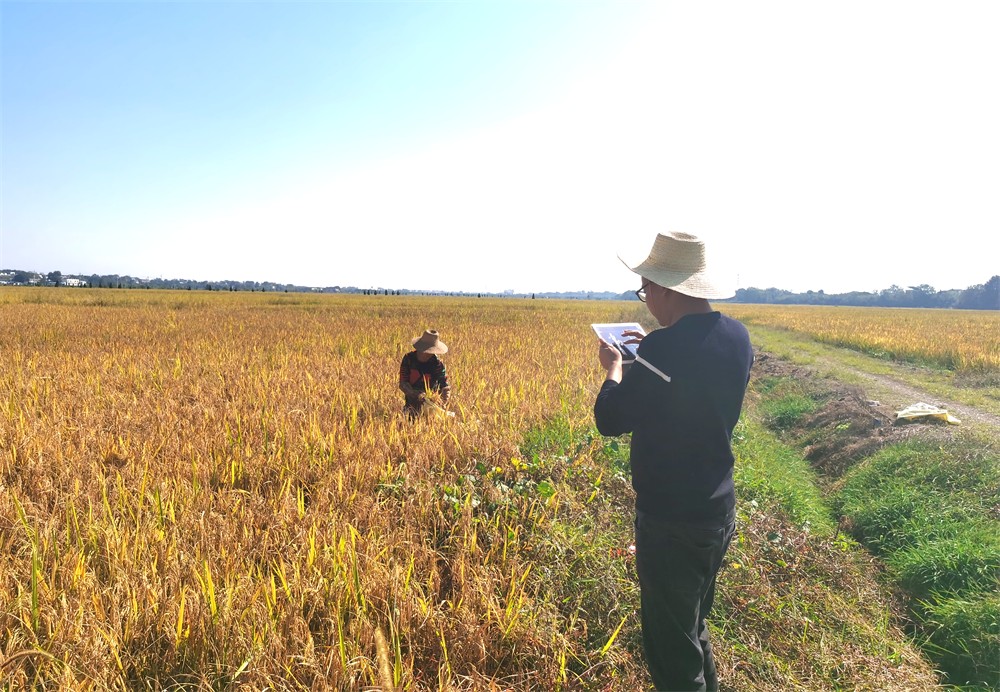 /uploads/image/2023/10/24/94a8b716877c0b39644b2063443aef1a.jpg 1.jpg