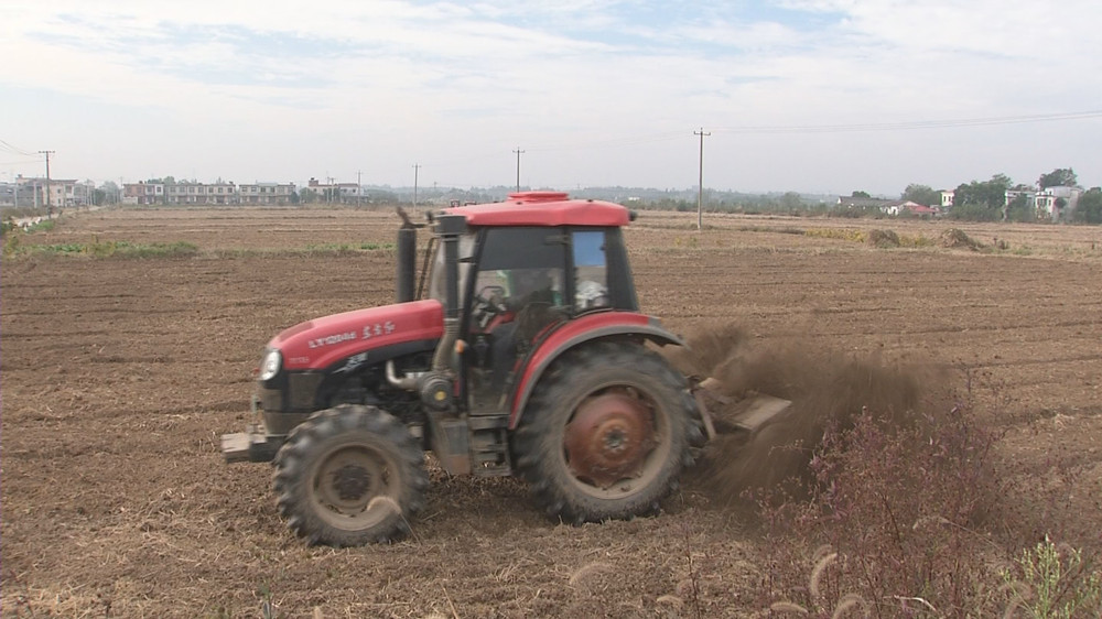 /uploads/image/2023/10/25/c9609474fa44b0961c45f7d1f4e04ec6.jpg 水稻 (2).jpg