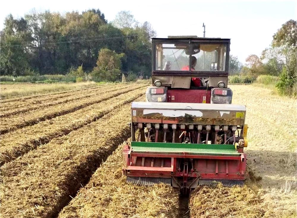 /uploads/image/2023/10/30/03029d08e6b74a2822e7da26baeca9a6.jpg 2.jpg