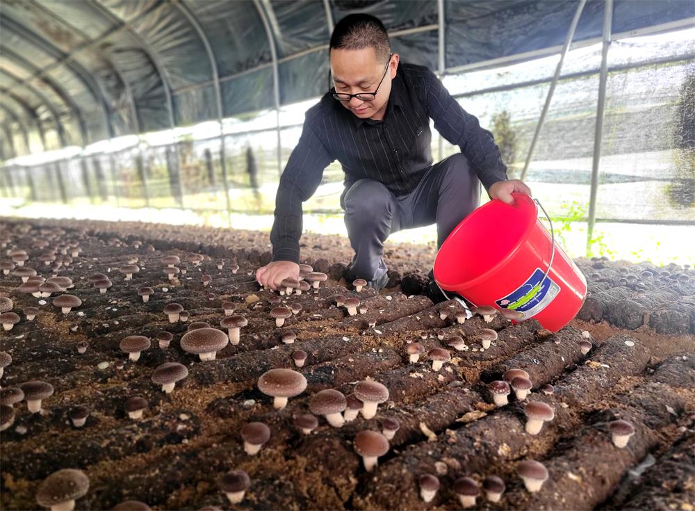 /uploads/image/2023/10/30/2f4f1ac5c324b92eb4ff80751fd4cd10.jpg 4.jpg