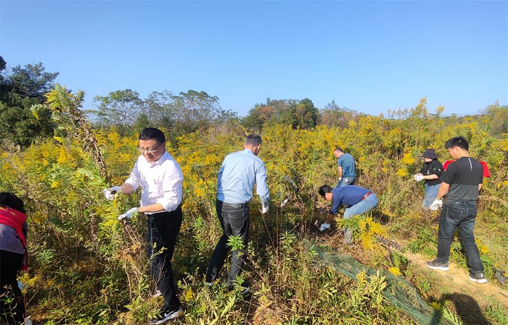 /uploads/image/2023/11/01/da32ae074142190dcb353fffc6ceb4ca.jpg 1.jpg