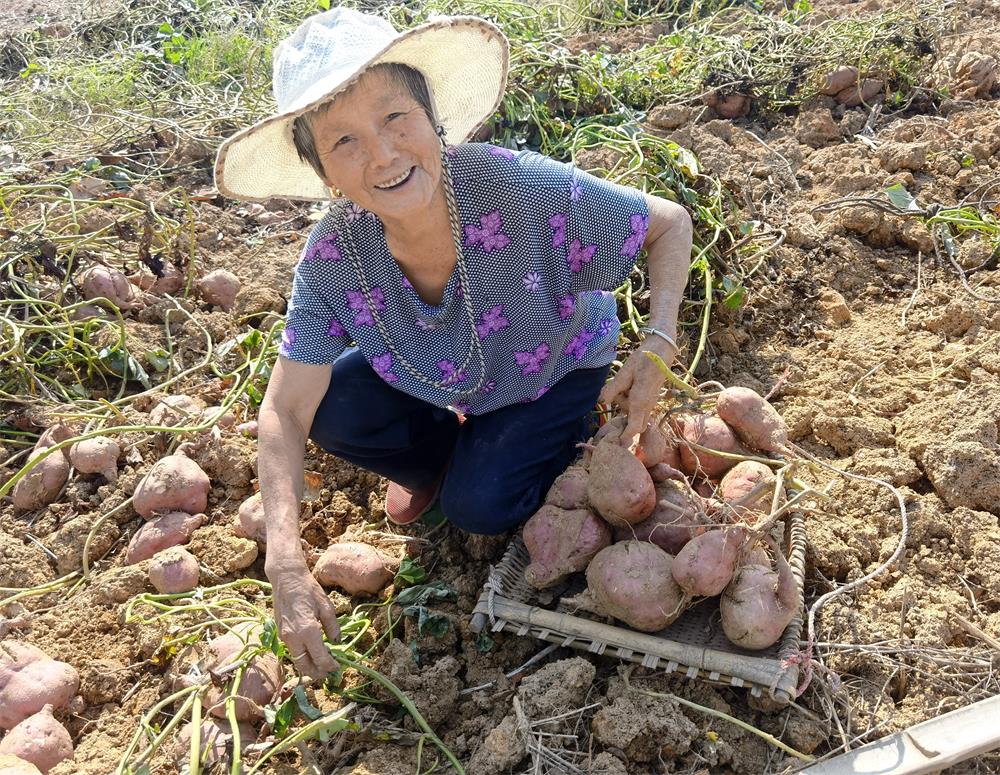 /uploads/image/2023/11/02/51a72400ed9ceb7929f83a12a6b97ba5.jpg 2.jpg