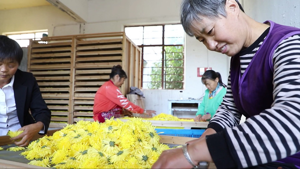 /uploads/image/2023/11/02/61158f4930dbc8d331bd68bdbbf5617a.jpg 1698910925763.jpg