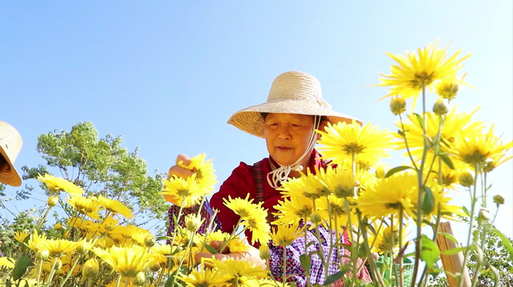 /uploads/image/2023/11/02/b5e0326fe4676c023cdddca5001ab0ac.jpg b9b2080efd15e4151694037db19b316.jpg