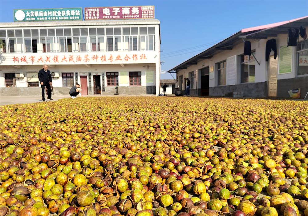 /uploads/image/2023/11/06/3f52fff248b7a33ed9a8342e6718d569.jpg 2.jpg