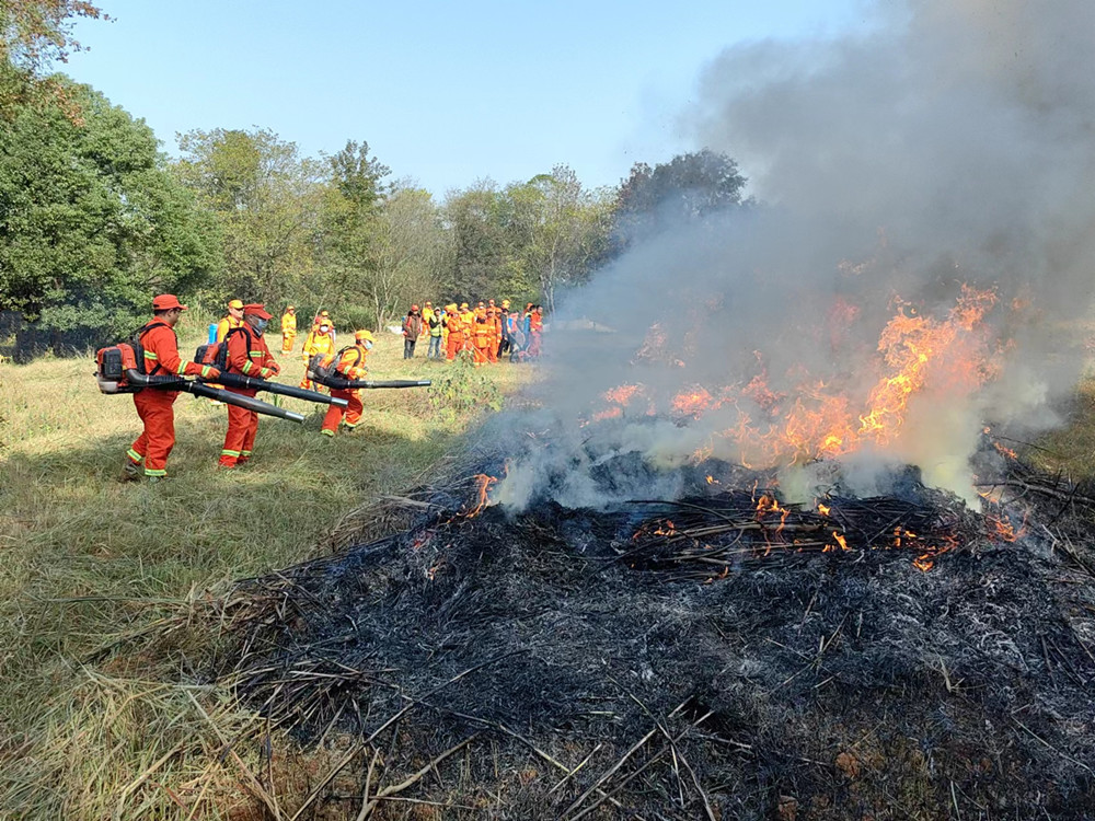 /uploads/image/2023/11/14/b1f85a34504fc3f3fbd26fdc06567b84.jpg 森林防火现场8.jpg