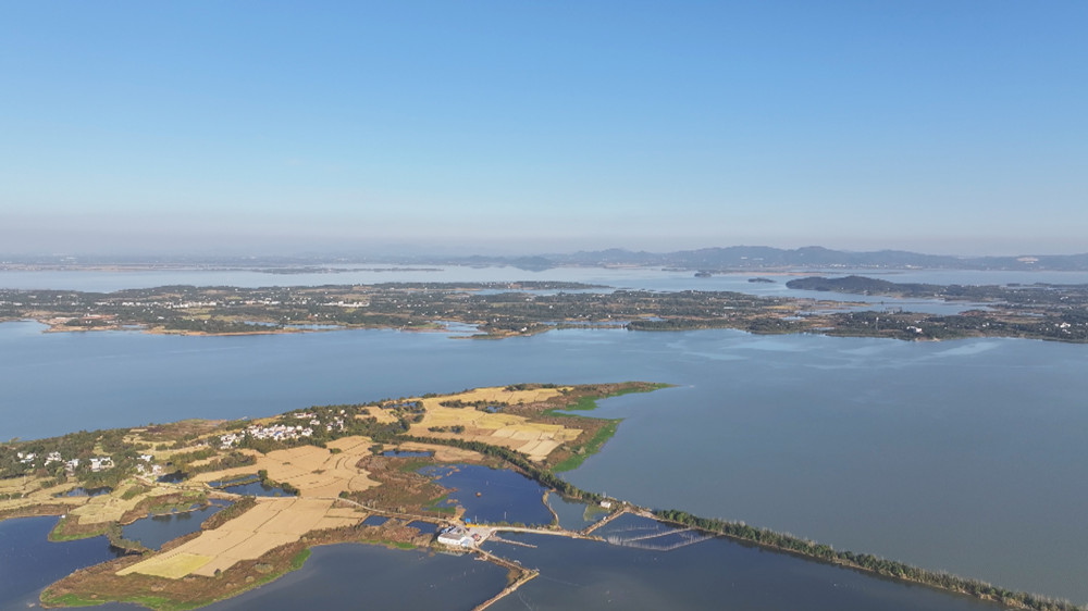 /uploads/image/2023/11/15/3ea428d272780ed9b360037da63bea8d.jpg 图为航拍下的桐城市金神镇许咀湿地风光.jpg