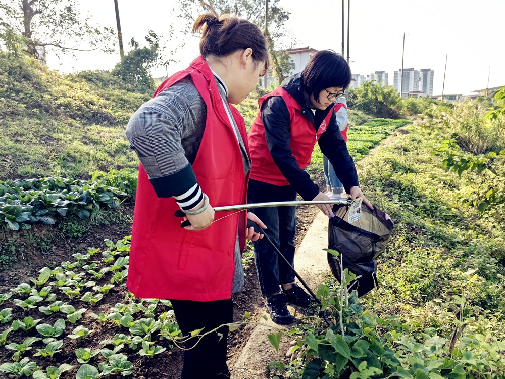 /uploads/image/2023/11/16/97a06357080c6398b9889545203e3dc0.jpg 3.jpg