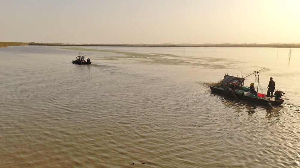 /uploads/image/2023/11/20/eccdf4dcbf928e6c3da5a2375b2f984c.jpg 芡实 (1).jpg